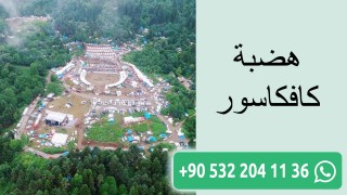 هضبة كافكاسور